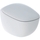 Geberit CITTERIO vaso sospeso a cacciata, Rimfree®, completo di sedile con chiusura ammortizzata, colore bianco finitura KeraTect 500.805.00.1