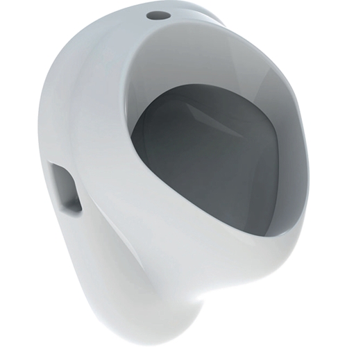 Immagine di Geberit BLAGNAC orinatoio con entrata d'acqua dall'alto e scarico verso il basso, con brida di risciacquo, colore bianco finitura lucido 00358000000100