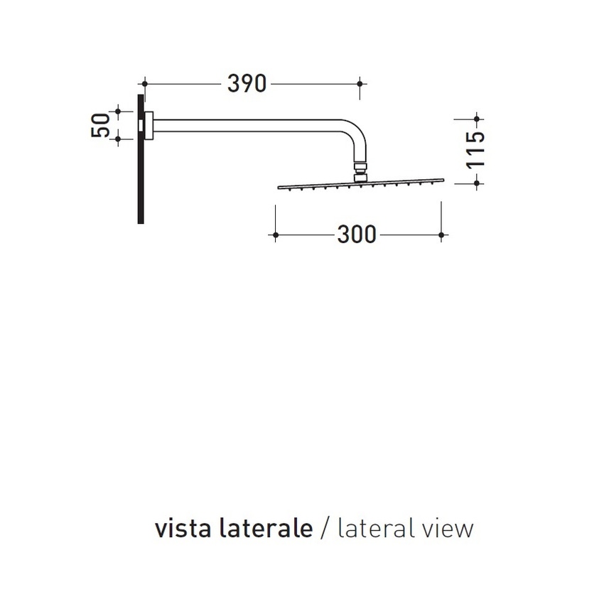 Immagine di Flaminia X1 soffione doccia Ø 30 cm completo di braccio, finitura acciaio spazzolato X13084