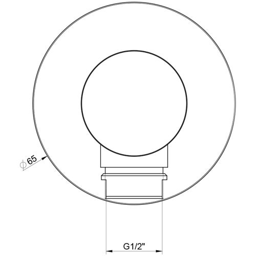 Immagine di Gessi 316 SHOWER presa acqua, finitura steel brushed 54269#239