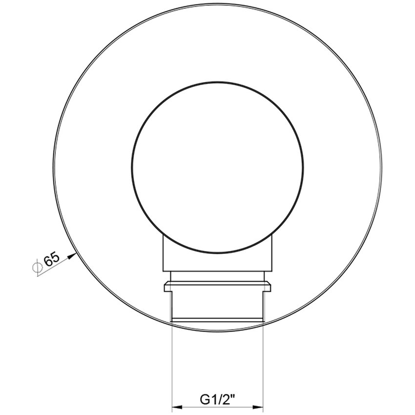 Immagine di Gessi 316 SHOWER presa acqua, finitura steel brushed 54269#239