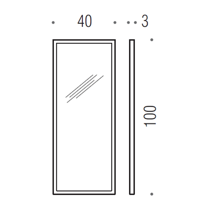 Immagine di Colombo Design FASHION MIRRORS supermirror L.40 H.100 cm, con cornice in acciaio inox B20400CR