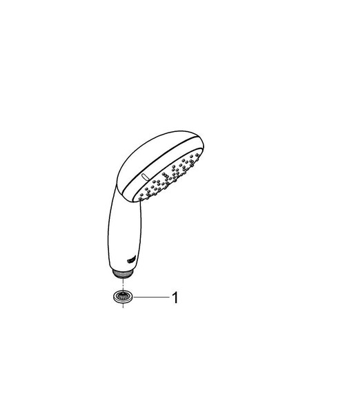 Immagine di Grohe New Tempesta 100 Manopola Doccia a 2 Getti 27597000