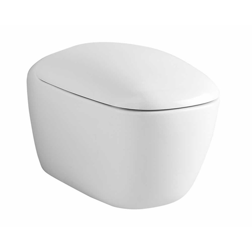 Immagine di Pozzi Ginori Citterio vaso sospeso completo di sedile con chiusura ammortizzata, bianco 75316000