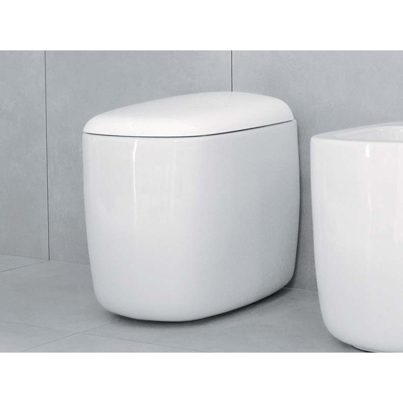 Immagine di Flaminia MONÒ vaso back to wall con scarico S/P, colore bianco finitura lucido MN117