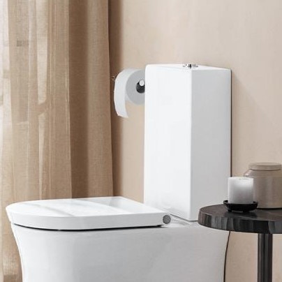 Immagine di Duravit WHITE TULIP cassetta di sciacquo con batteria Dual Flush, per attacco sx nascosto, 6/3 l, UWL classe 2, colore bianco 0933100005