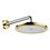 Immagine di Hansgrohe RAINDANCE CLASSIC soffione doccia 240, 1 jet, con braccio doccia, finitura cromo e oro optic 27424090