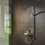 Immagine di Hansgrohe RAINDANCE SELECT S doccetta 120, 3 jet, PowderRain, finitura cromo 26014000