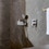 Immagine di Hansgrohe RAINDANCE SELECT S doccetta 120, 3 jet, finitura cromo 26530000