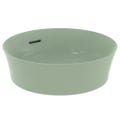 Immagine di Ideal Standard IPALYSS lavabo da appoggio 40 cm, con troppopieno, colore salvia finitura opaco E1413X9