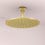 Immagine di Ideal Standard IDEALRAIN soffione Ø 30 cm, 1 funzione effetto pioggia, finitura brushed gold A5803A2