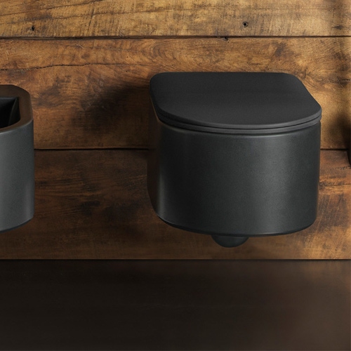 Immagine di Flaminia ASTRA vaso sospeso con sistema goclean®, senza sedile, colore carbone finitura opaco AS118GCAR