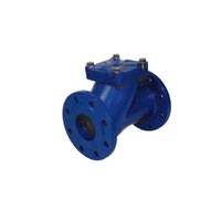 Immagine di Dab Pumps Valvola di ritegno a palla DN50 60160629