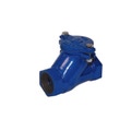 Immagine di Dab Pumps Valvola di ritegno a palla 1” ¼ filettata 60160625