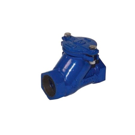 Immagine di Dab Pumps Valvola di ritegno a palla 1” ¼ filettata 60160625