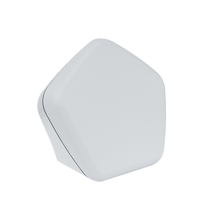 Immagine di Caleffi 215 gateway di regolazione termica multi-zone wireless, colore bianco 215100