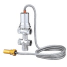 Immagine della categoria Valvole di sicurezza