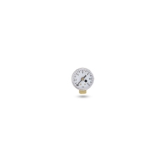 Immagine di Cillit BWT D1 Manometro 0-10 bar 125305328