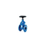 Immagine di Dab Pumps valvola a saracinesca con corpo piatto DN 80 60163813