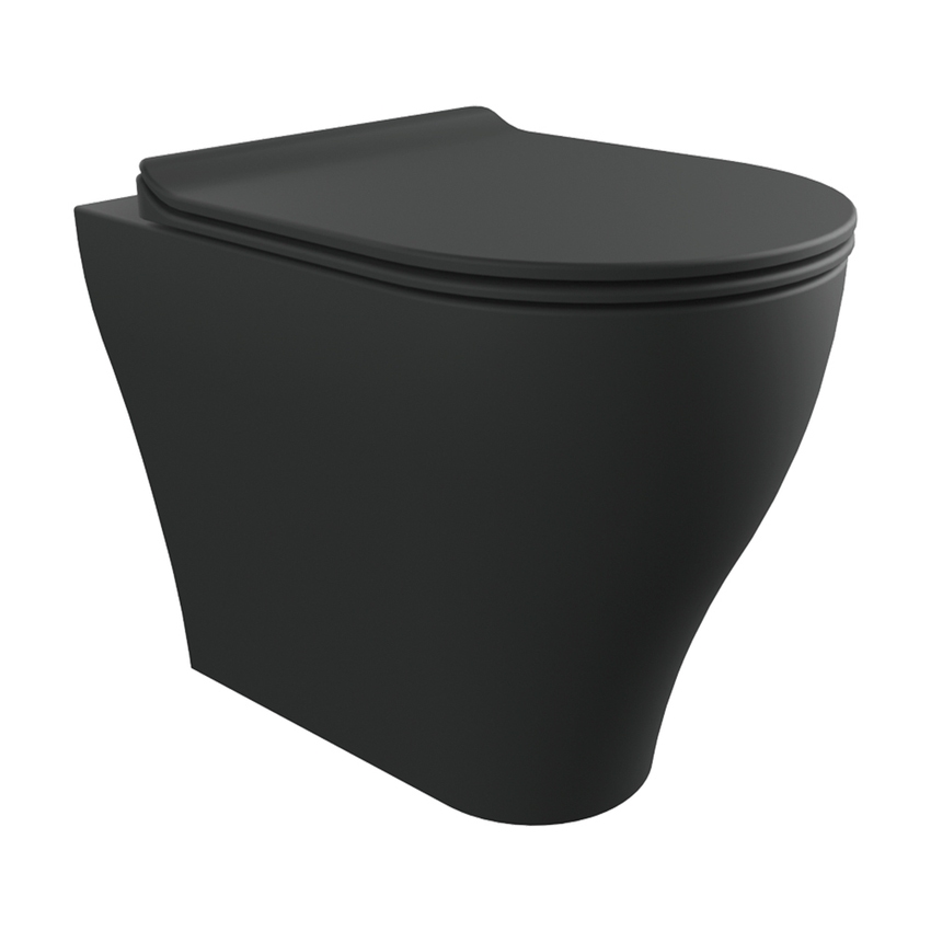 Immagine di Flaminia APP PLUS vaso back to wall con sistema goclean®, senza sedile, colore carbone finitura opaco AP117RGCAR