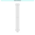 Immagine di Irsap ARPA 12_2 VERTICALE Radiatore 4 elementi L.7,6 P.5 H.202 cm, colore bianco standard finitura lucido Cod.01 A2220200401IR01A01