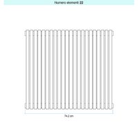 Immagine di Irsap ARPA 23_2 VERTICALE Radiatore 22 elementi L.74,2 P.7 H.67 cm, colore bianco standard finitura lucido Cod.01 SI206702201IR01A01