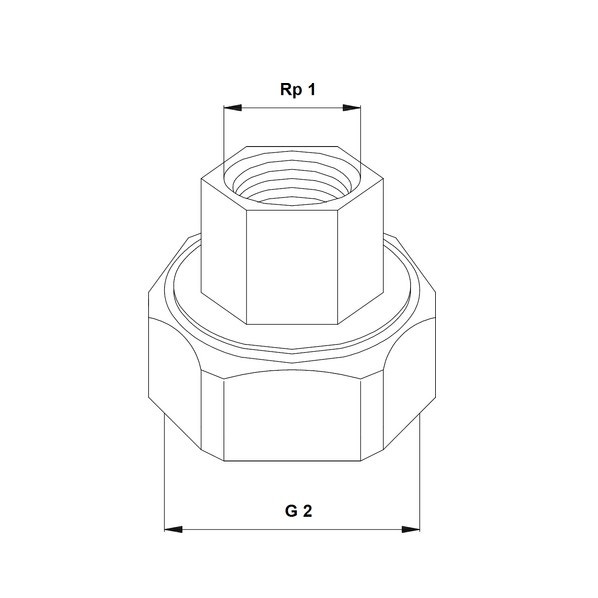 Immagine di Grundfos Bocchettoni in ghisa PN 10, attacco G 2" / Rp 1" (2 pezzi) 509921