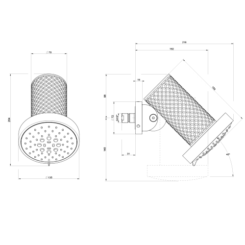 Immagine di Gessi SHOWER soffione anticalcare a parete, orientabile, funzione pioggia, spray e massaggio, finitura steel brushed 57251#239