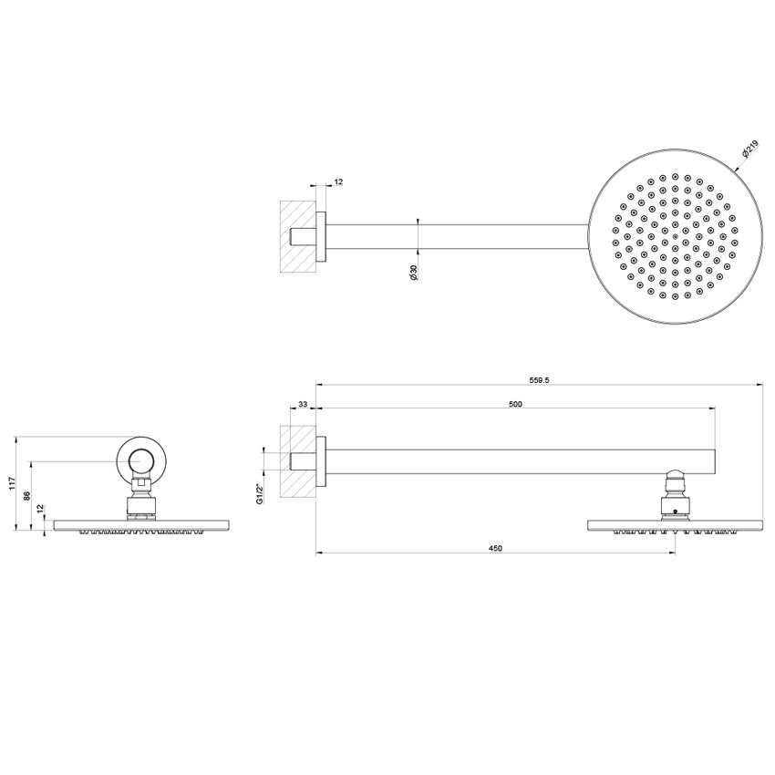 Immagine di Gessi 316 SHOWER soffione rotondo Ø 22 cm, a parete, orientabile, finitura steel brushed 54149#239