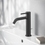 Immagine di Ideal Standard CERALINE miscelatore monocomando H.19 cm per lavabo, con asta di comando e scarico piletta da 1-1/4", colore nero finitura opaco BD847XG