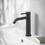 Immagine di Ideal Standard CERALINE miscelatore monocomando H.19 cm per lavabo, con piletta Click-Clack, con sistema BlueStart, colore nero finitura opaco BD959XG