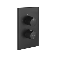 Immagine di Gessi SHOWER miscelatore termostatico a 2 uscite, senza corpo incasso, colore nero finitura opaco 38794#299