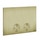 Gessi TOTAL LOOK placca di finitura per TECE, finitura brushed brass PVD 54617#727