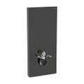 Immagine di Geberit MONOLITH PLUS modulo sanitario per WC sospeso H.114 cm, rivestimento laterale in alluminio nero cromato, rivestimento frontale colore nero finitura vetro lucido 131.231.SJ.7