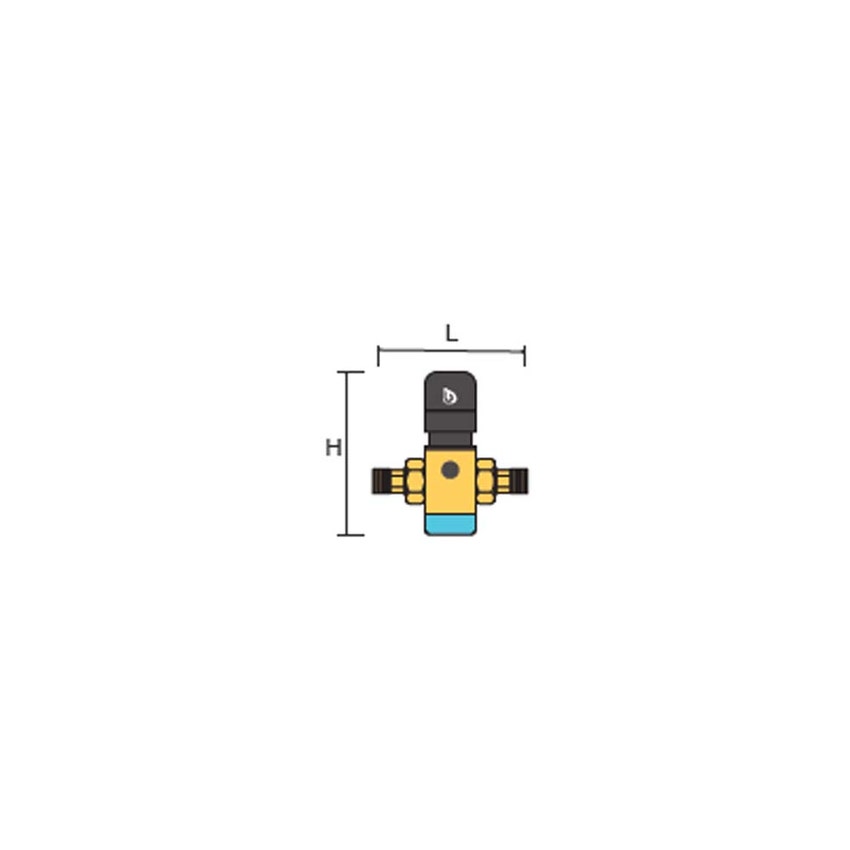 Immagine di BWT Cillit D1 ECO 1" 40.16 riduttore di pressione 125300273