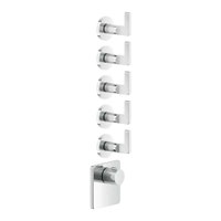 Immagine di Gessi INCISO miscelatore termostatico alta portata a parete 5 uscite indipendenti, installazione verticale/orizzontale, finitura cromo 58220#031