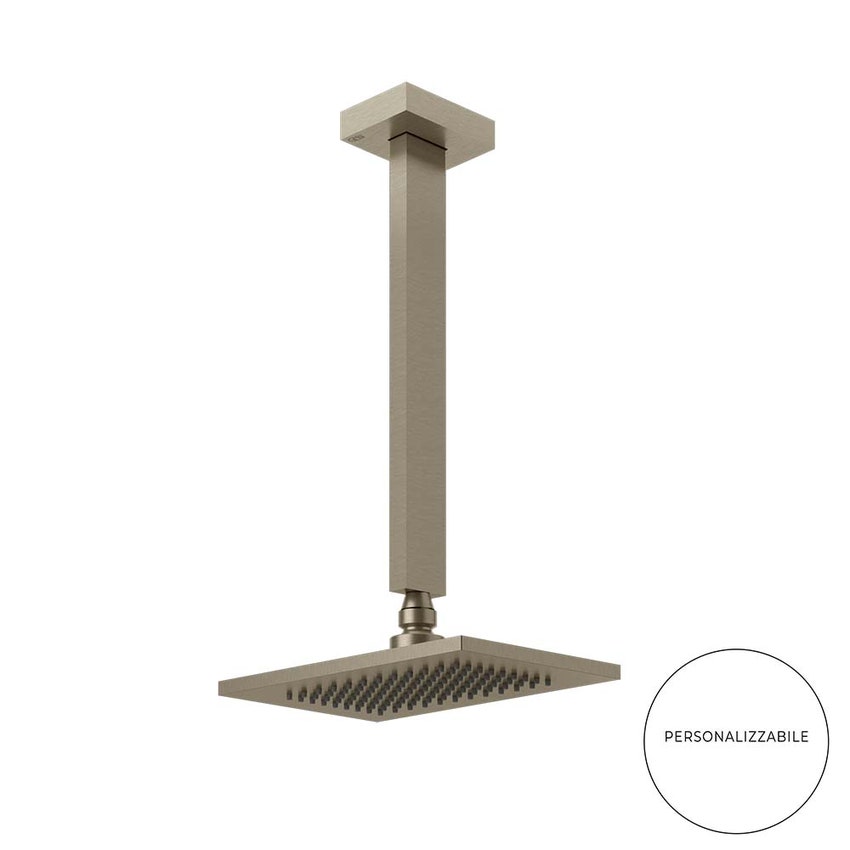 Immagine di Gessi SHOWER anticalcare a soffitto, braccio altezza personalizzabile, finitura finox 20150#149