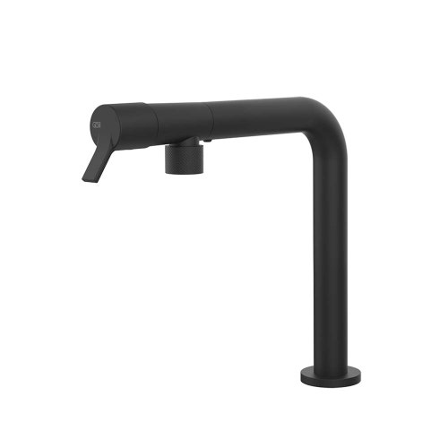 Immagine di Gessi FISSO miscelatore H.27.7 cm per lavello, monocomando, con bocca girevole, colore nero finitura opaco 60073#299
