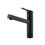 Immagine di Gessi THALIUM miscelatore H.25.1 cm per lavello, monocomando, con bocca girevole e doccetta estraibile mono getto, colore nero finitura opaco 60533#299