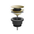 Immagine di Gessi Piletta lavabo "Stop&Go", finitura brass brushed PVD 01421#727