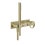 Immagine di Gessi ANELLO miscelatore doccia, a parete, 2 uscite con deviatore, presa acqua e supporto doccetta, senza corpo incasso, finitura brass brushed PVD 63343#727