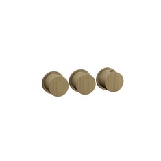 Immagine di Gessi SHOWER miscelatore termostatico a parete, 2 uscite indipendenti, installazione verticale o orizzontale, senza corpo incasso, finitura antique brass 63434#713