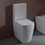 Immagine di Flaminia PLAY vaso monoblocco PLUS gosilent con scarico S/P, senza sedile, colore bianco finitura lucido PY116RS