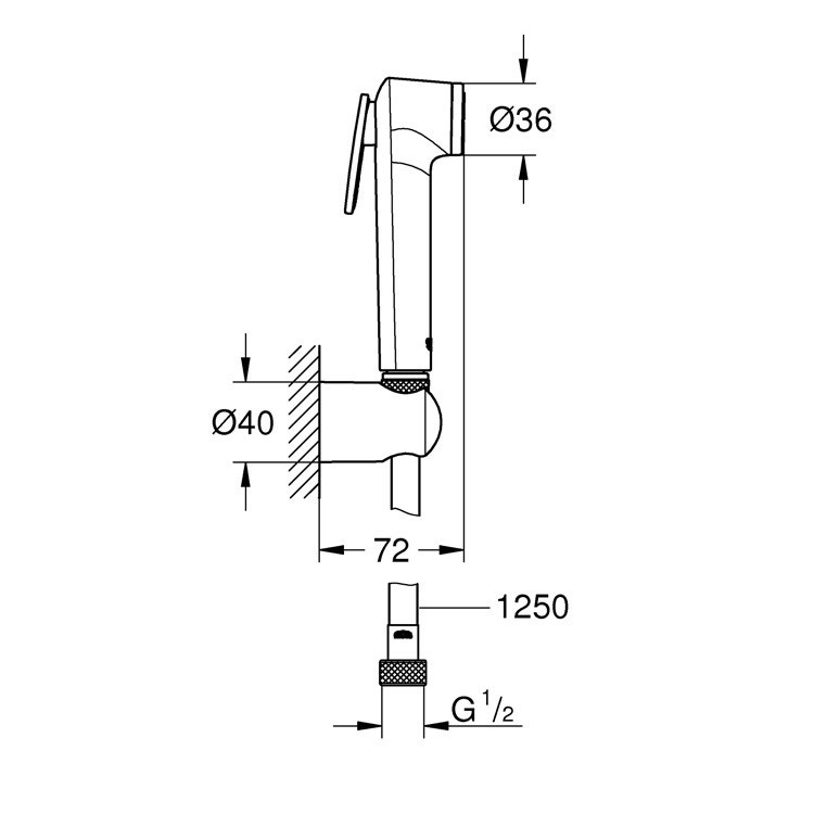 Immagine di Grohe TEMPESTA-F idroscopino 30 con supporto a parete e flessibile 125 cm, finitura cromo 26354000
