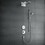 Immagine di Hansgrohe RAINDANCE RAINFALL soffione doccia 180, 2 jet, finitura cromo 28433000