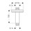 Immagine di Hansgrohe  fissaggio a soffitto da 100 mm finitura cromo 27418000