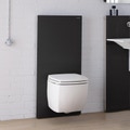 Immagine di Geberit MONOLITH PLUS modulo sanitario per WC sospeso 114 cm, colore vetro nero 131.231.SJ.5