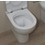 Immagine di Flaminia QUICK vaso back to wall con scarico S/P, con sistema goclean®, colore bianco finitura lucido QK117G