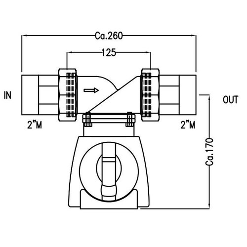 Immagine di BWT Cillit MULTIPUR BIO M 2" filtro autopulente manuale 012914AG