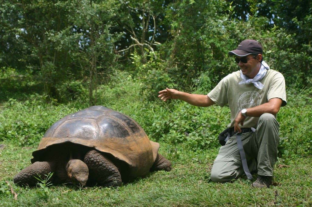 Galapagos, sea lions and turtles in 7 days | viviTravels